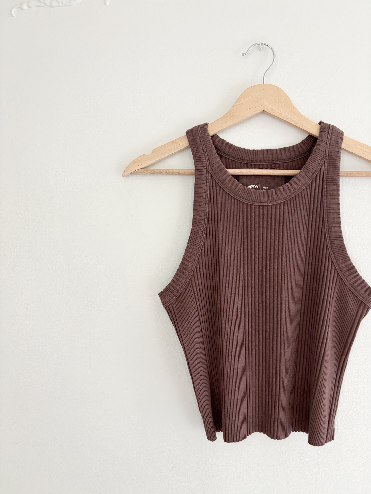 Aerie Brown Ribbed Tank (M)