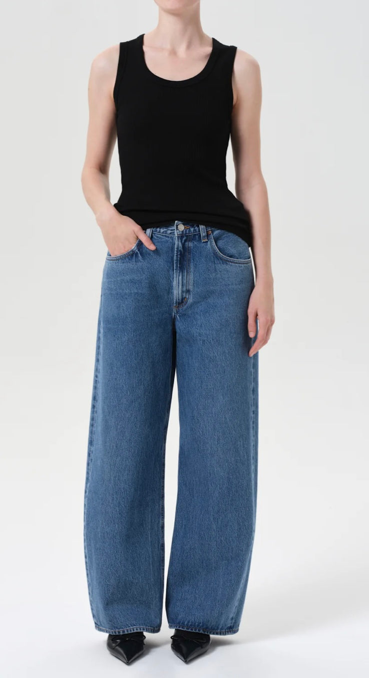 Agolde Low Curve Jeans (27)