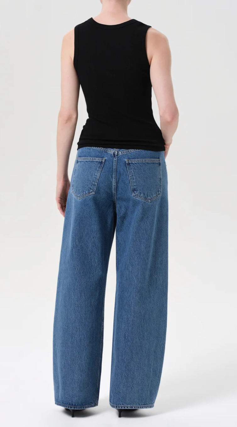 Agolde Low Curve Jeans (27)
