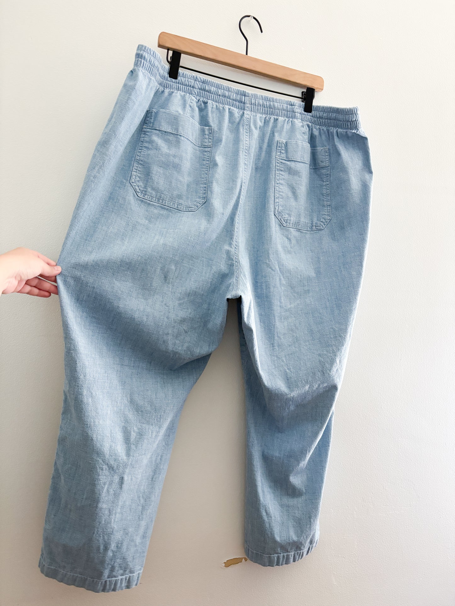 LL Bean Easy pants (22W)