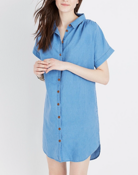 Madewell Linen Blend Button Dress (XL)