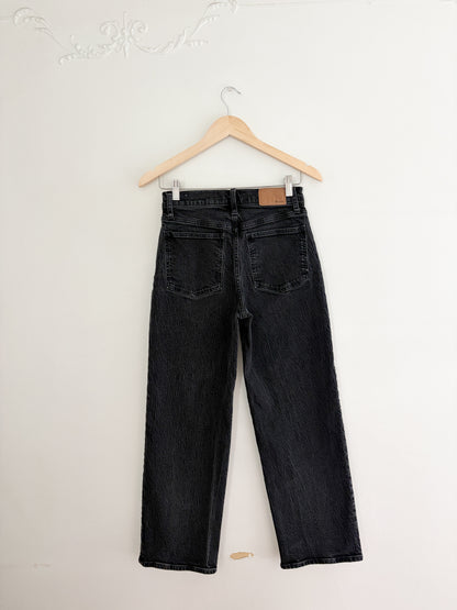 Madewell perfect vintage wide leg jeans (26P)
