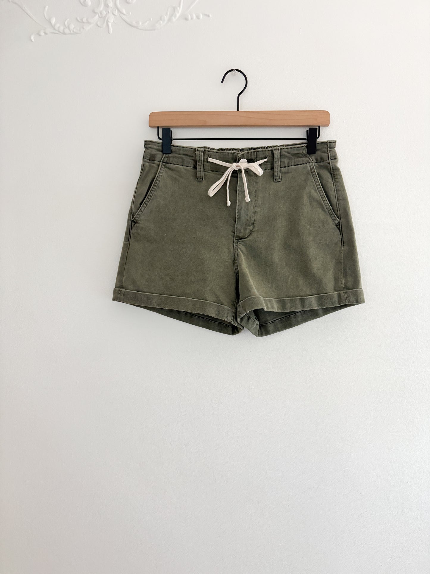 Paige Christy Shorts (27)