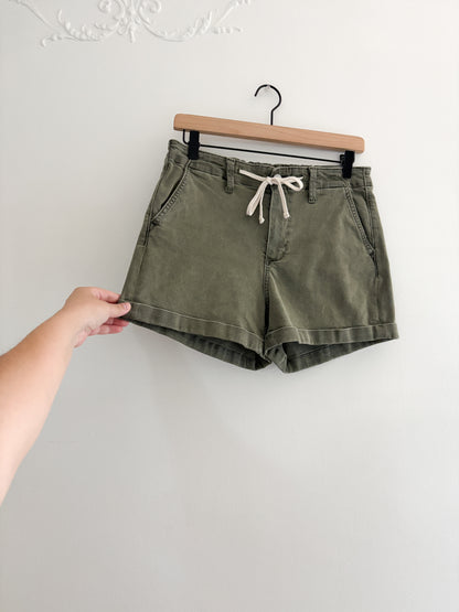 Paige Christy Shorts (27)