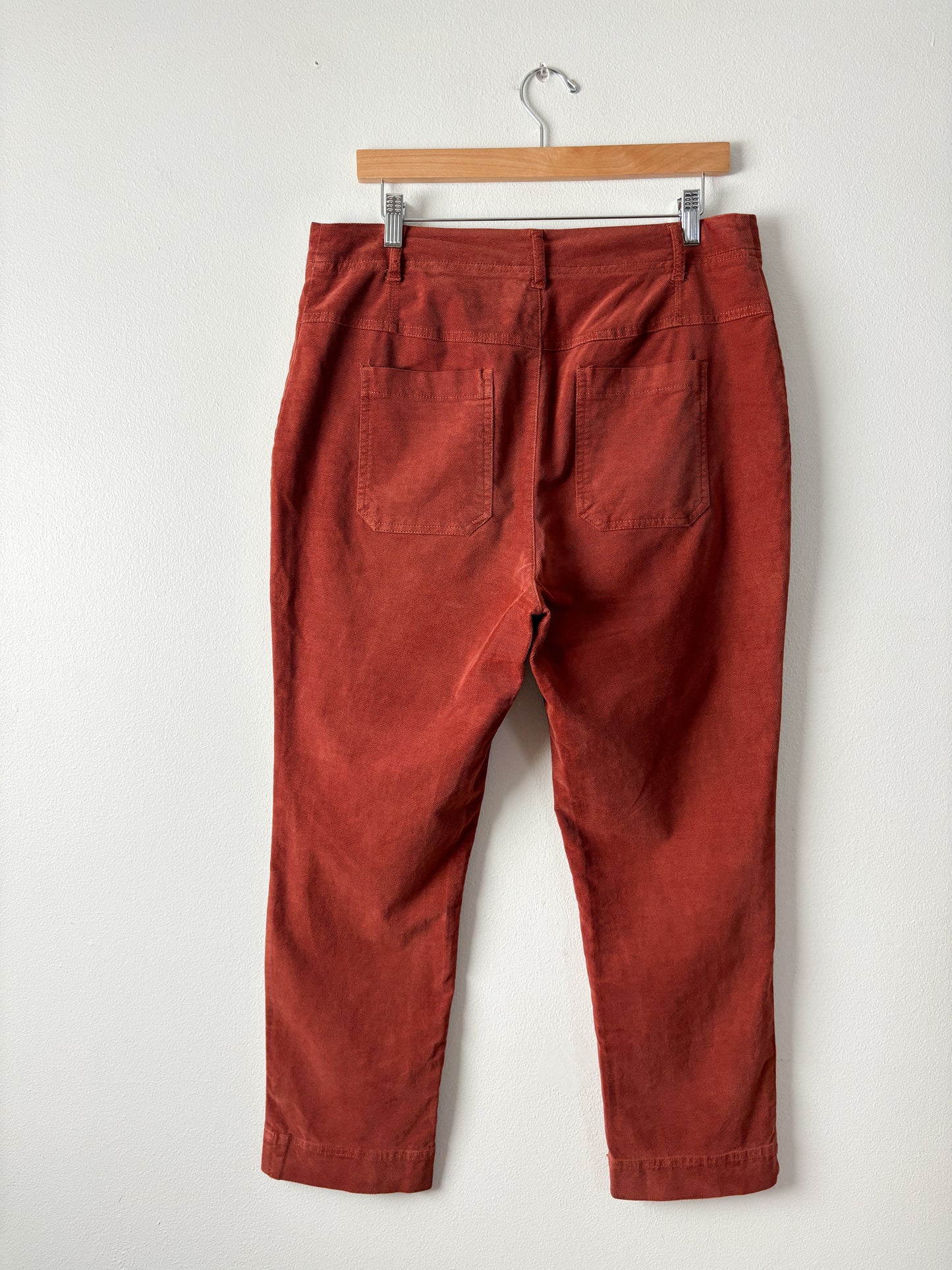 Free people button fly pants