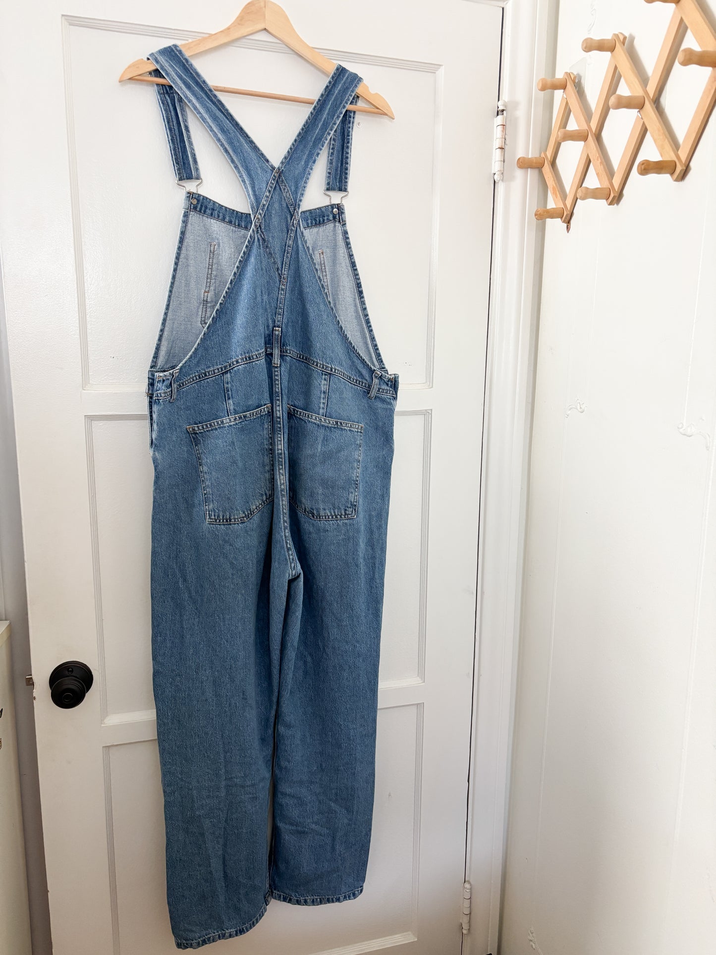 Free People Ziggy Overalls (L)