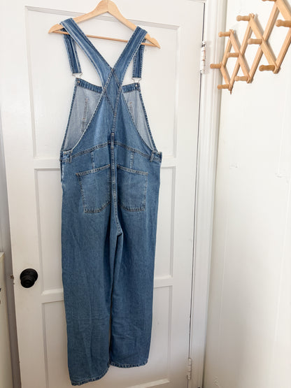 Free People Ziggy Overalls (L)