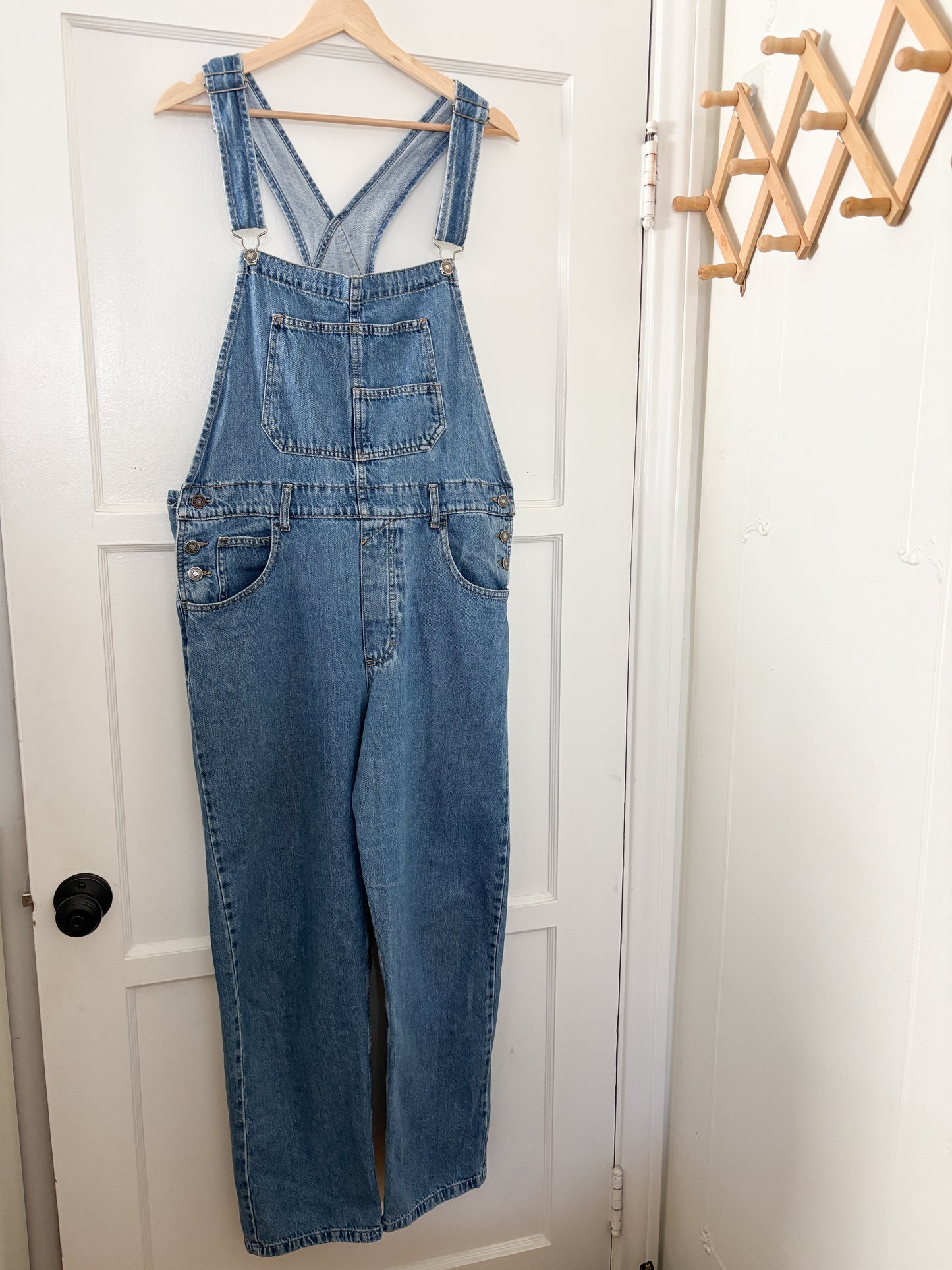 Free People Ziggy Overalls (L)