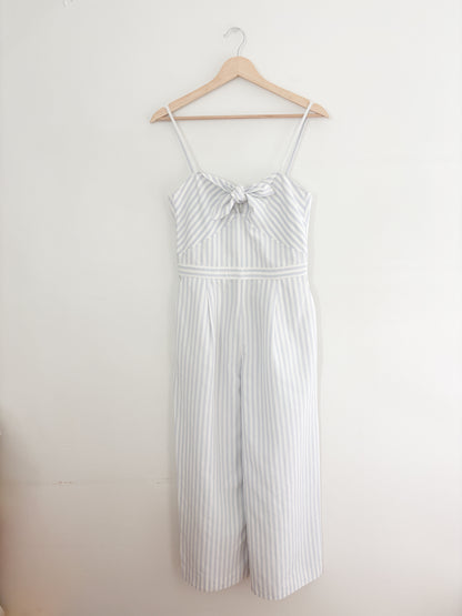 Club Monaco Rheah Jumpsuit (2)