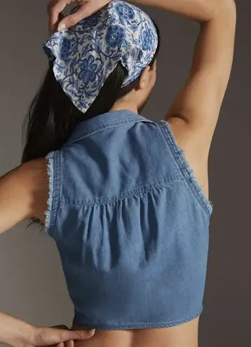 Anthropologie Pilcro Crop Top (XS/S)