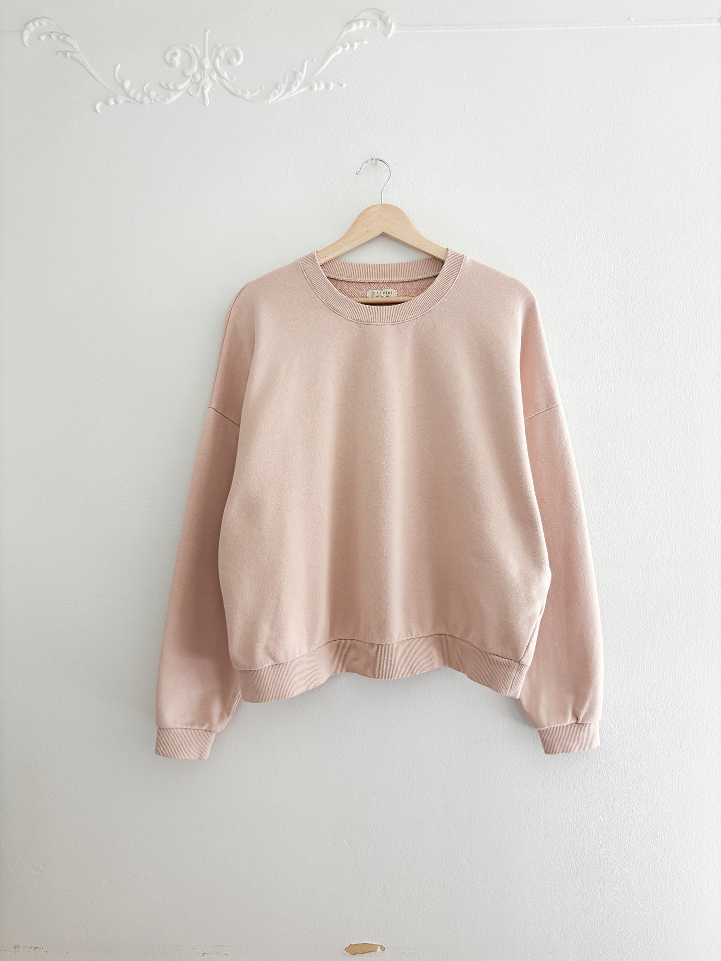 Mile(s) by Madewell Blush Crew (M)