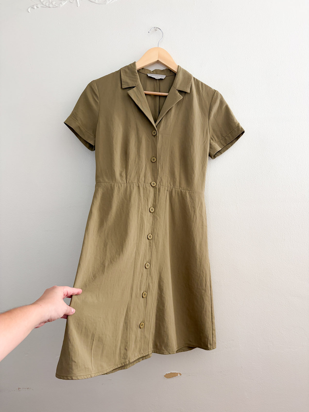 Everlane Olive Collared Dress