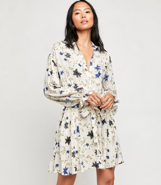 Free People Floral Dress (S)