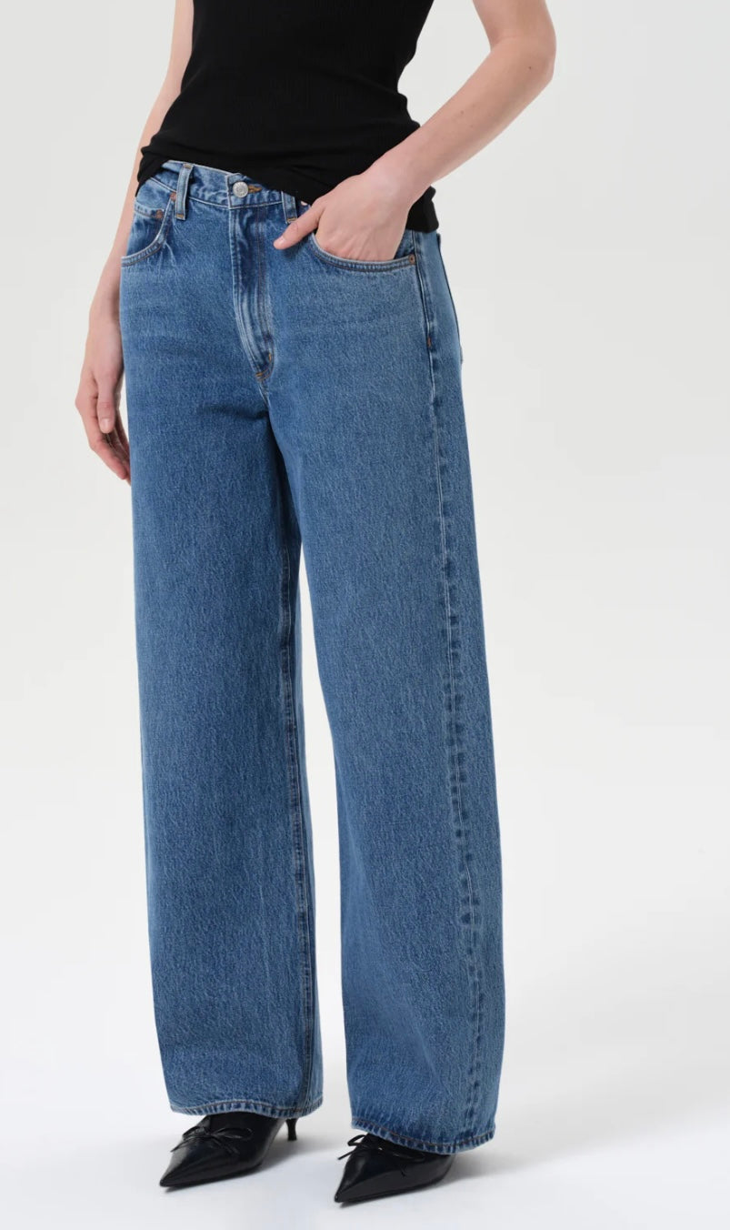 Agolde Low Curve Jeans (27)