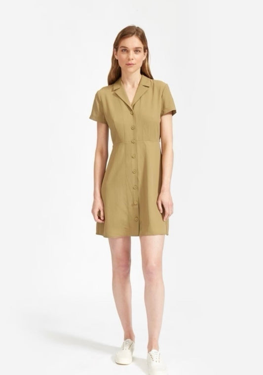 Everlane Olive Collared Dress