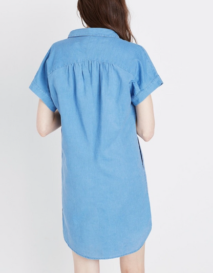 Madewell Linen Blend Button Dress (XL)