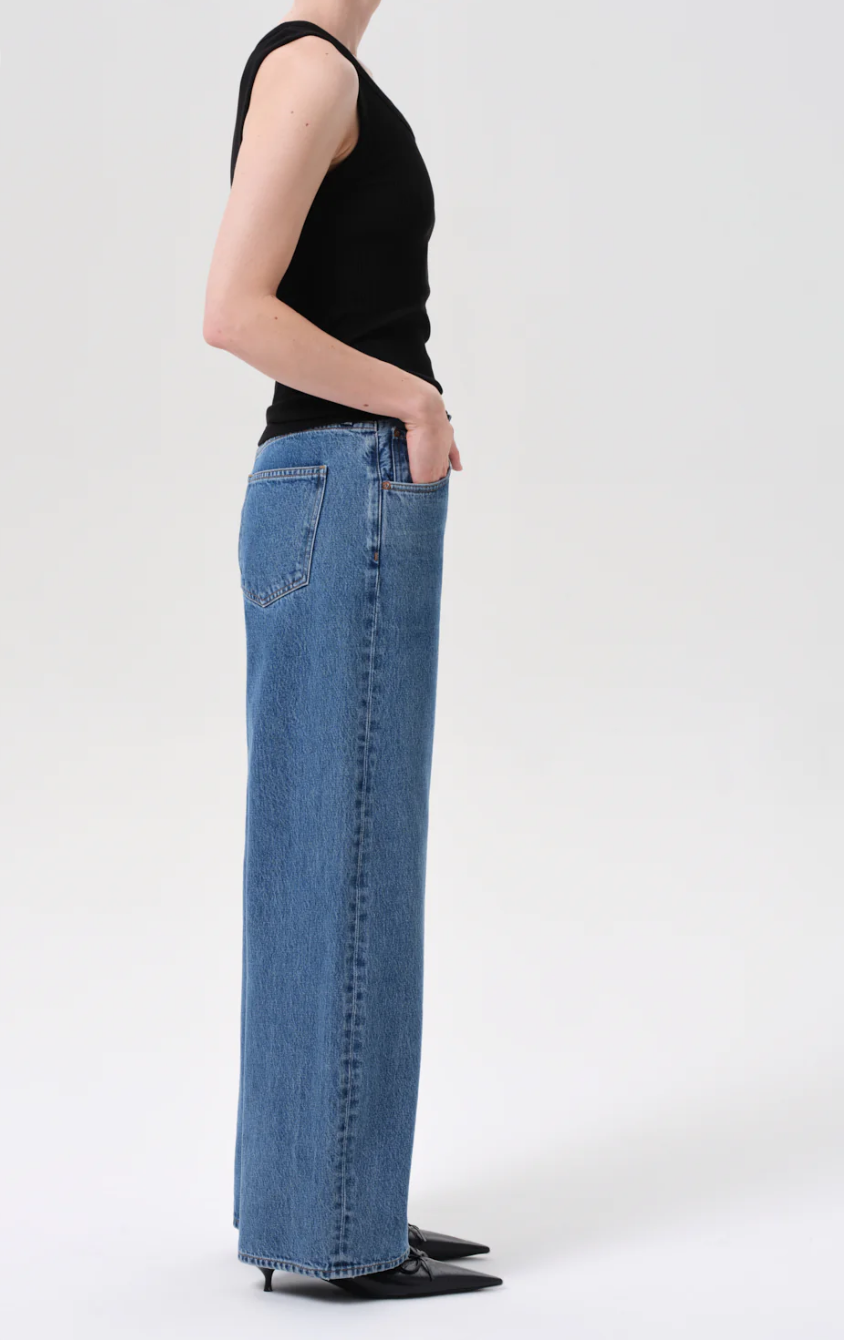 Agolde Low Curve Jeans (27)