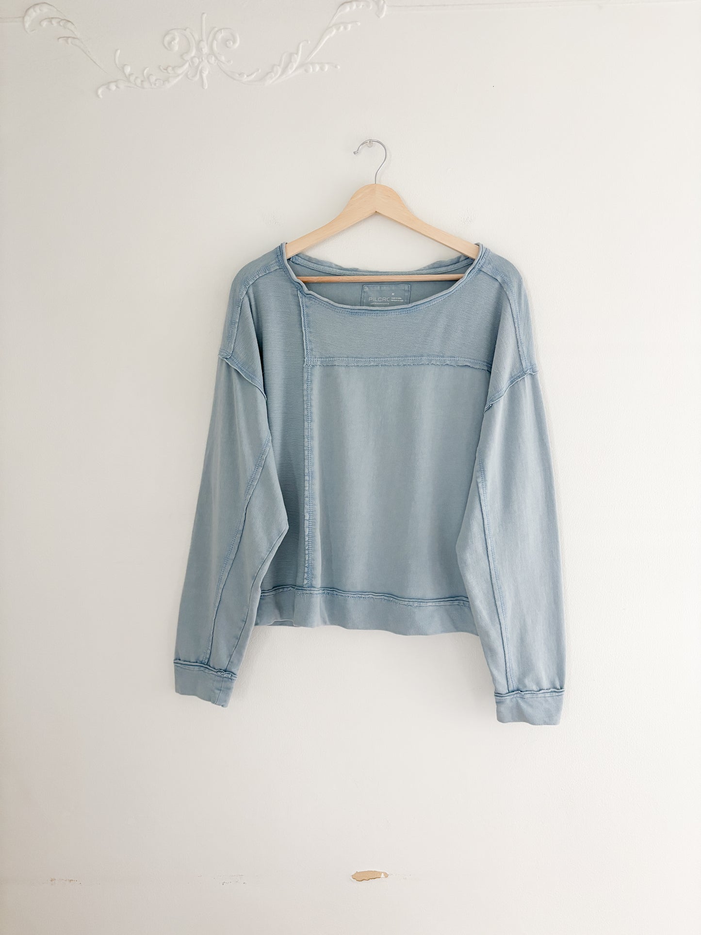 Pilcro (Anthropologie) Ina Seamed Top (M)