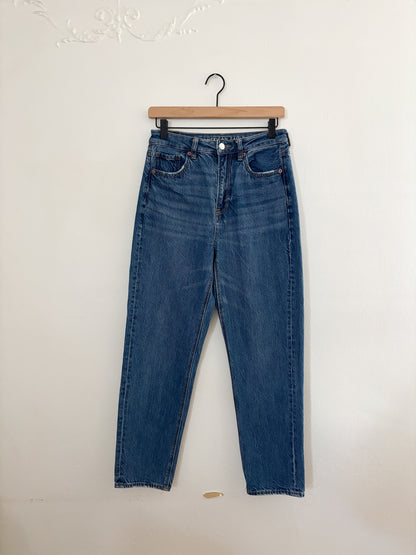 AE Mom Straight Jeans (4)