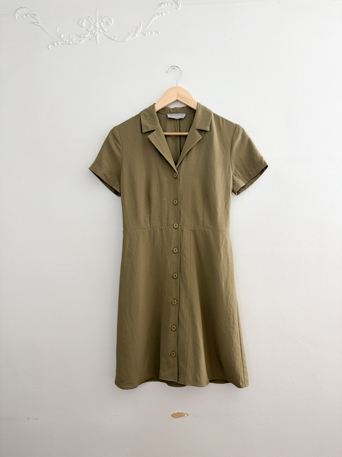 Everlane Olive Collared Dress