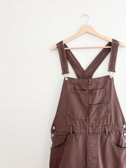 Free People Brown Ziggy Overalls