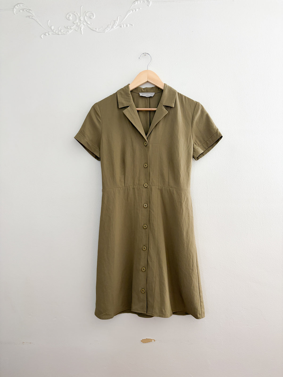 Everlane Olive Collared Dress